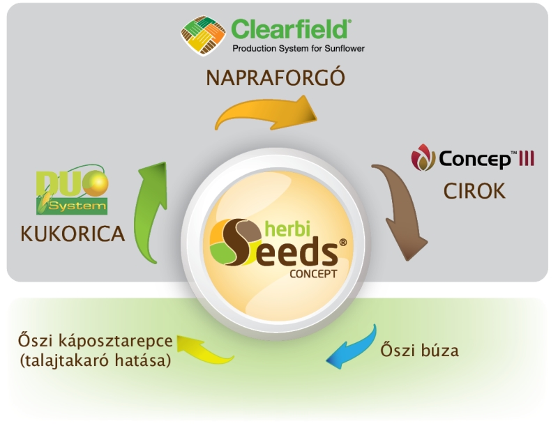 Seeds1