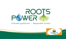 thumb ROOTS-POWER-1